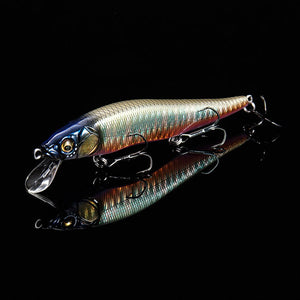 Limited Release Ito Vision 110+1 Junior