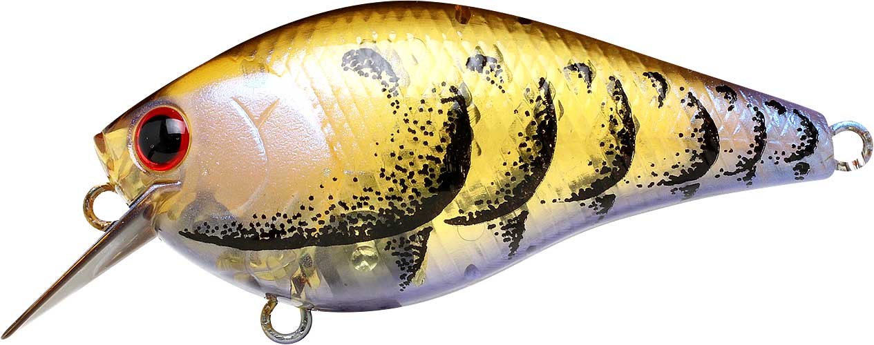 最安価格 LC Crankbaits 1.0 – The Hook Up Tackle 生活雑貨
