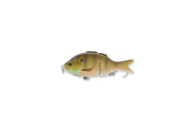 Load image into Gallery viewer, Micro BFS Glide Gill
