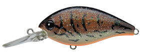 CR-8 Crankbaits