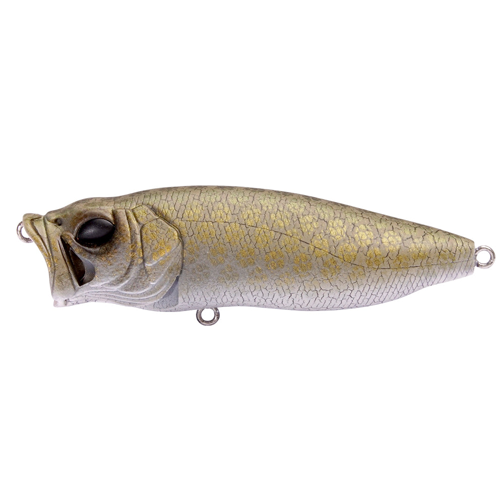 Pop Max Limited Color Drop – The Hook Up Tackle