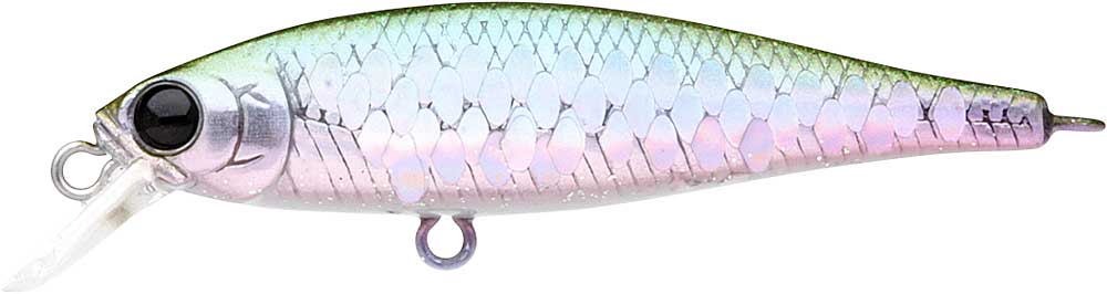 Pointer 48SP – The Hook Up Tackle Pointer 48SP – The Hook Up Tackle