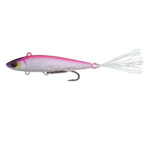 Live Darter