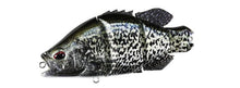 Load image into Gallery viewer, Snappy Crappie
