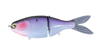 RS Shad