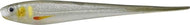 Needle Shad