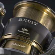 Load image into Gallery viewer, 20th Anniversary SLP Exist
