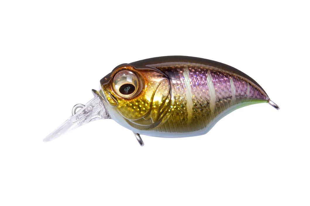メガバスBASS AID GRIFFON SR-X & 6cc SILENT SR-X Griffon – The Hook Up Tackle