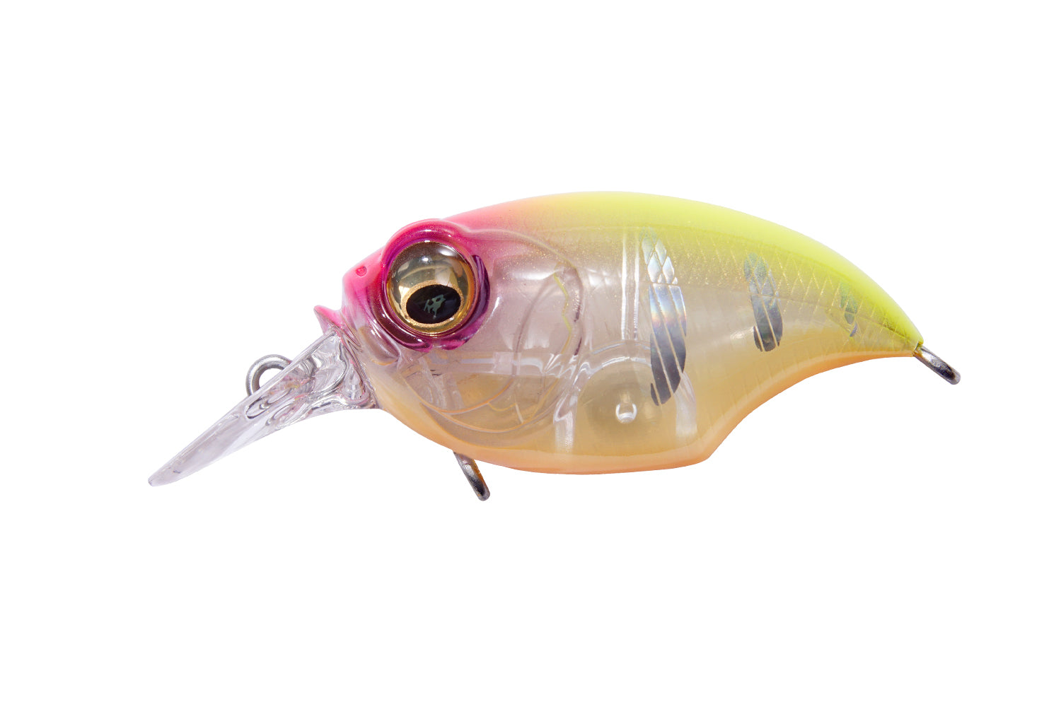 SR-X Griffon – The Hook Up Tackle