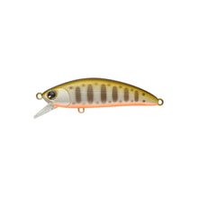 Load image into Gallery viewer, Sukari 50SS
