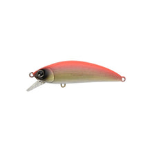 Load image into Gallery viewer, Sukari 50SS
