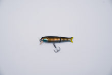 Load image into Gallery viewer, Simplebait BFS Glide Crank Minnow
