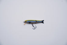 Load image into Gallery viewer, Simplebait BFS Glide Crank Minnow
