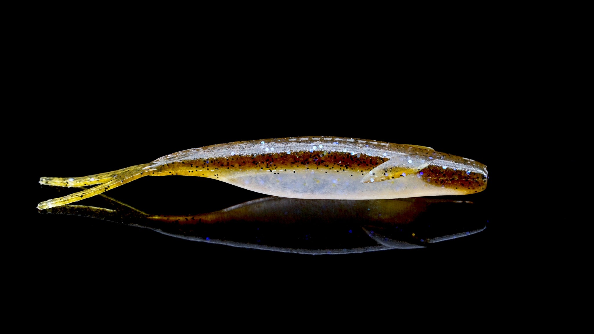 2025 JDM Experience New Releases – Page 3 – The Hook Up Tackle