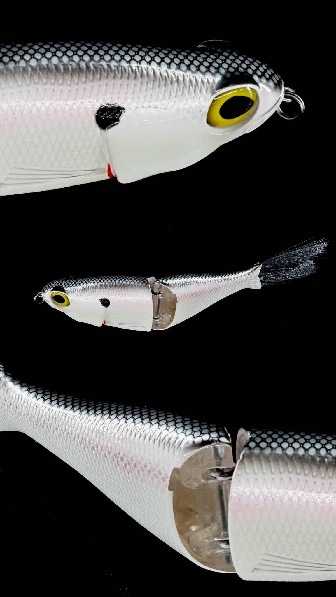 Chimera Shad The Hook Up Tackle Chimera Shad The Hook Up Tackle