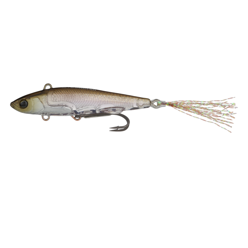 chubby darter fishing lures Live Darter – The Hook Up Tackle