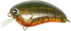 Bill Lowen Square Bill Crankbait