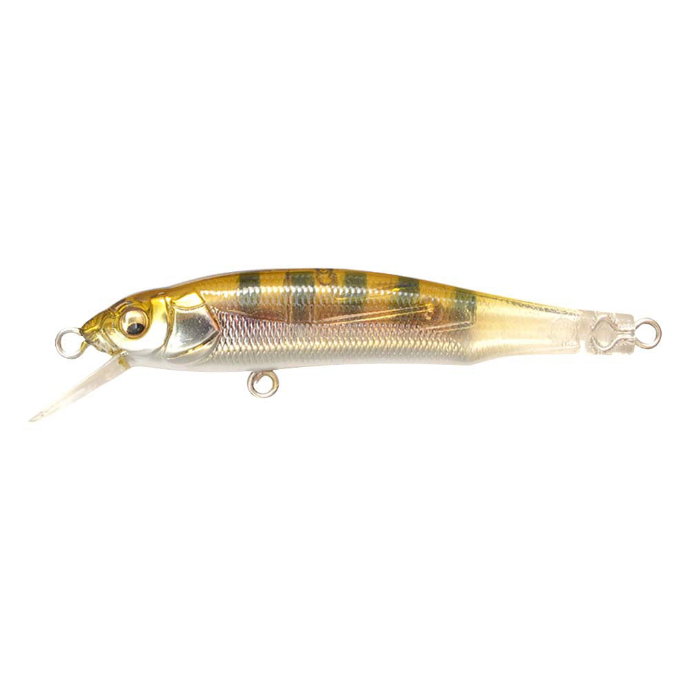 Megabass BFS Collection – The Hook Up Tackle