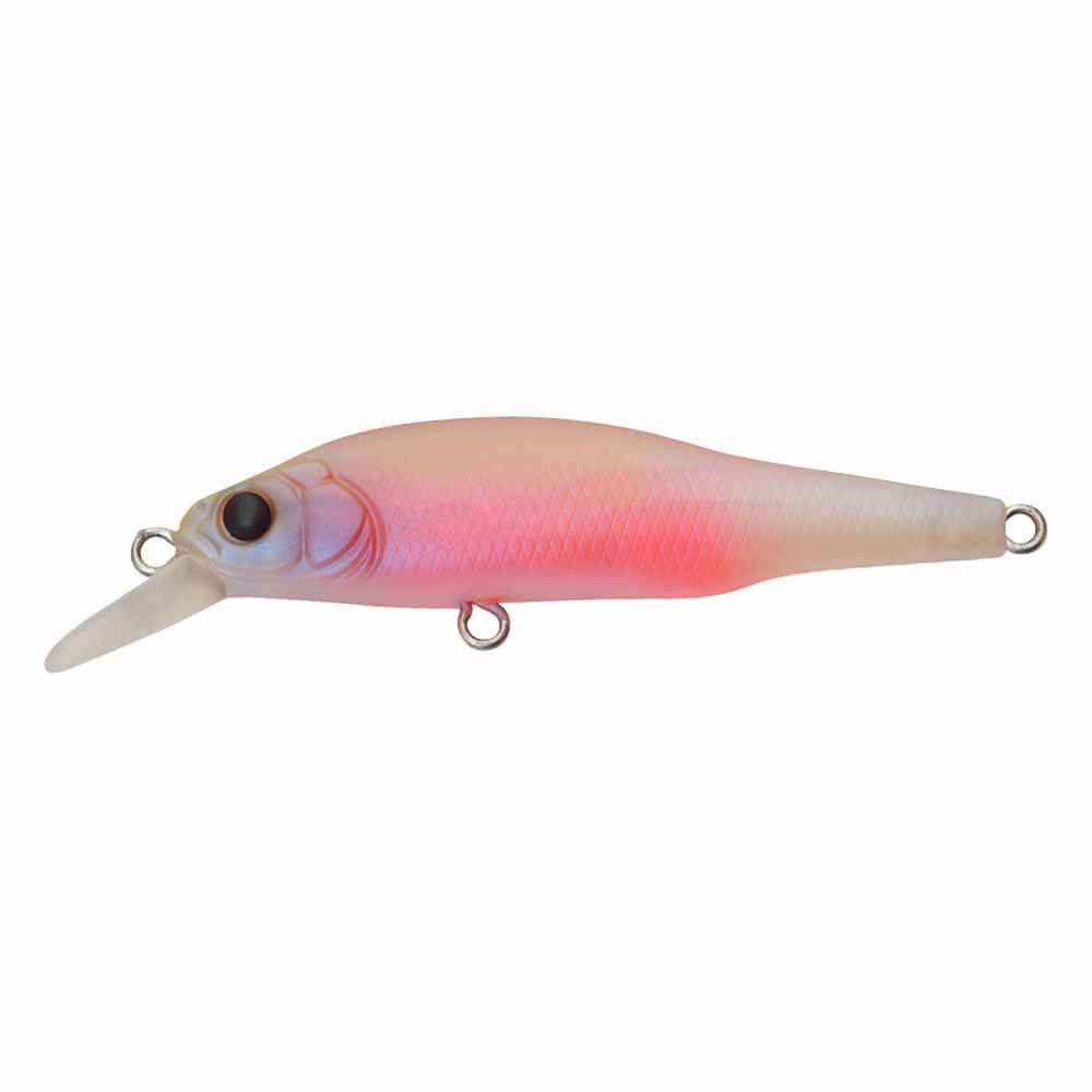 Megabass BFS Collection – The Hook Up Tackle