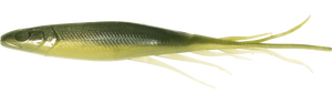 Judy Fish