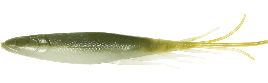 Judy Fish