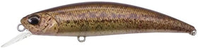 Spearhead Ryuki 50S