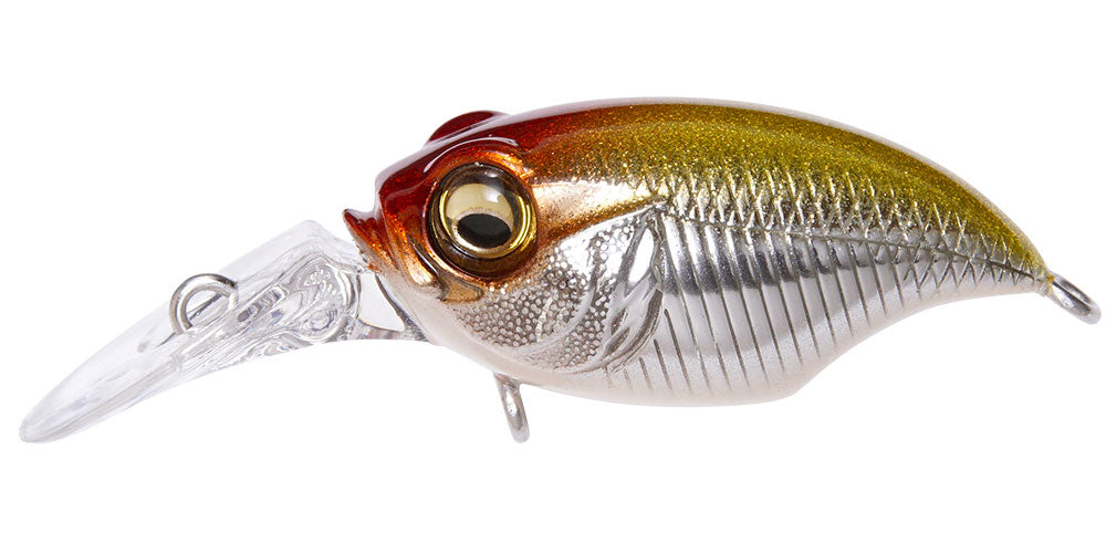 Griffon MR-X BFS – The Hook Up Tackle