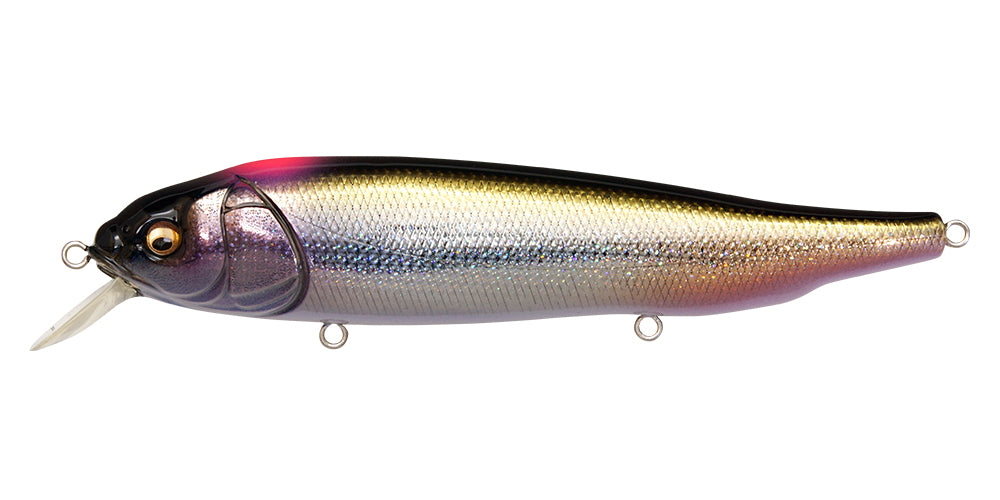 メガバスmegabassラテス Lates Feeding Woofer – The Hook Up Tackle