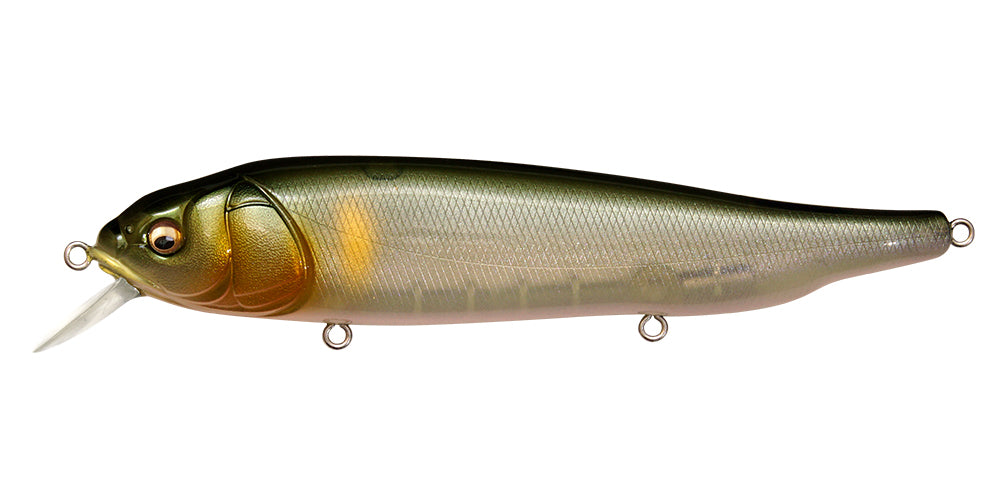 メガバスmegabassラテス Lates Feeding Woofer – The Hook Up Tackle