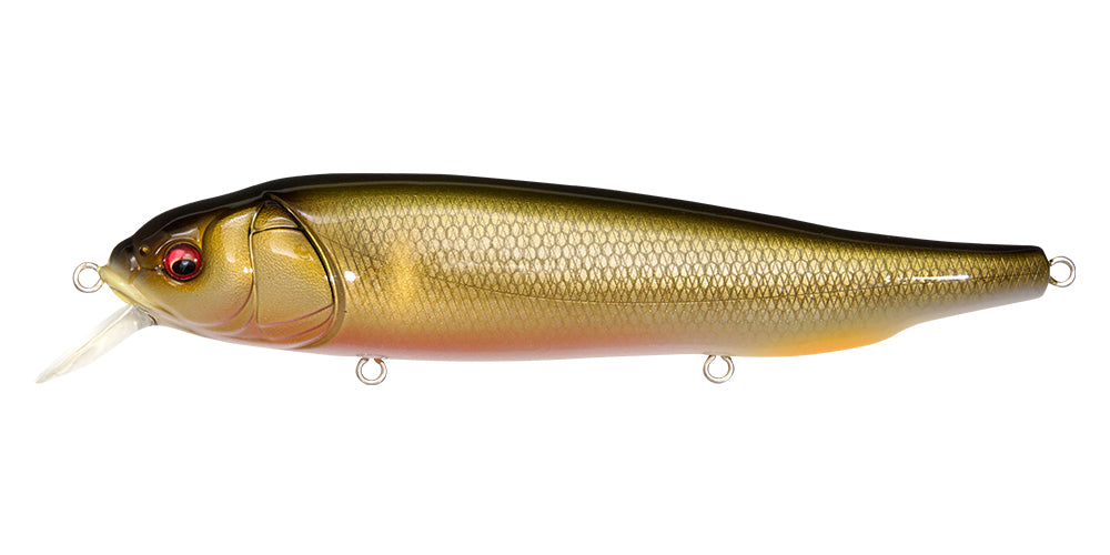 Lates Feeding Woofer – The Hook Up Tackle