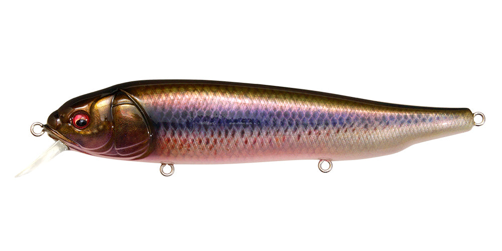Megabass V-flat ABALOME set！ MEGABASS / V-FLAT ABALONE 3/7 oz | IchibanTackle.com