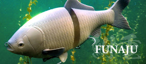 Funaju