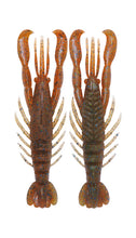 Load image into Gallery viewer, Hurry Shrimp
