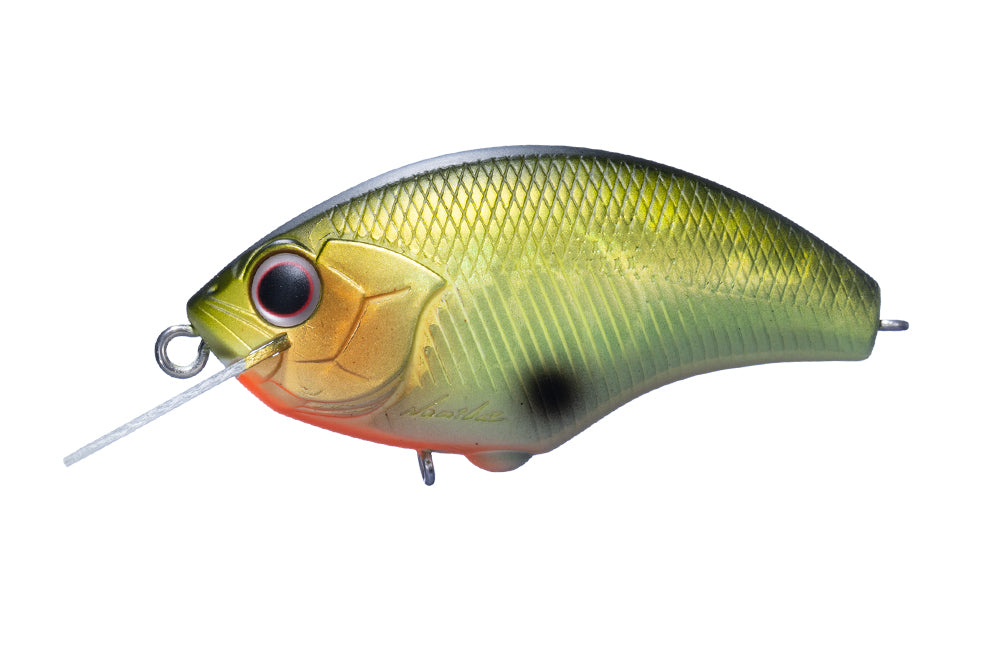 crankbait fish hooks Blitz – The Hook Up Tackle