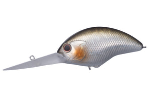 Blitz Max Plus DR – The Hook Up Tackle
