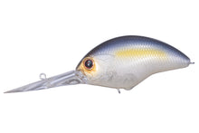 Load image into Gallery viewer, Blitz Max Plus DR
