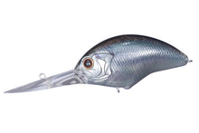 Load image into Gallery viewer, Blitz Max Plus DR
