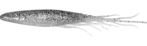 Judy Fish