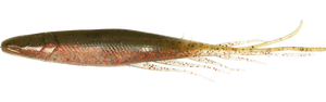 Judy Fish