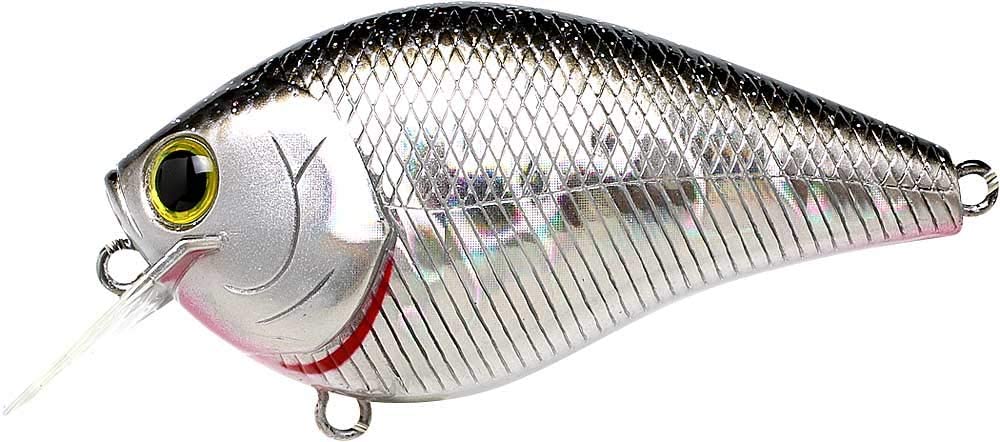 Fat CB BDS 2 Bulk Bundles