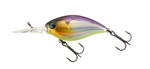 Jackall Rod Baitcast Bambluz Extro BBXS-C64-SLJ (8009) | eBay