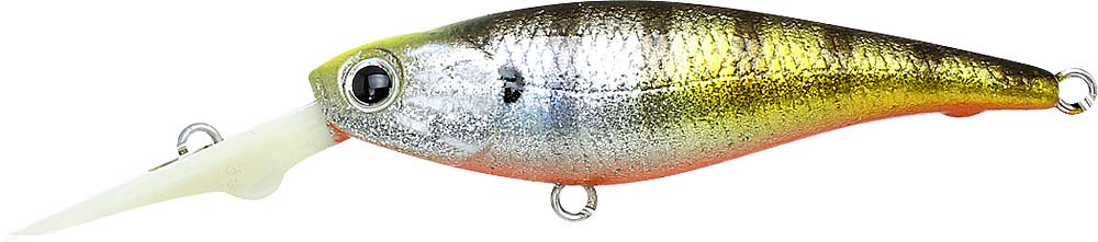 Bevy Shad Silent – The Hook Up Tackle