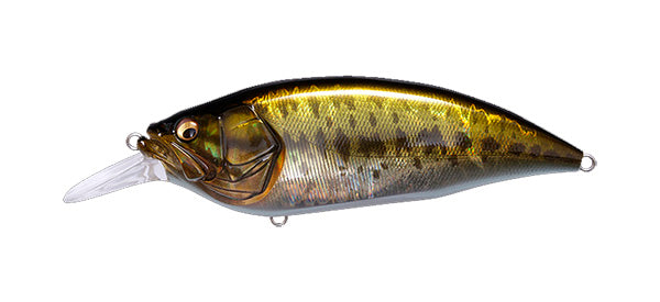 Big mouth 220 hp tail ビッグマウス Amazon.co.jp: Big Mouth Billy Bass Decoration ビッグ マウス
