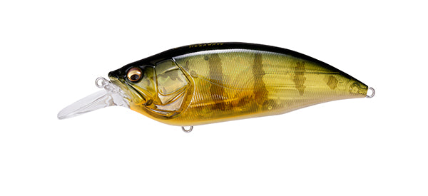 Big M 2.0 – The Hook Up Tackle