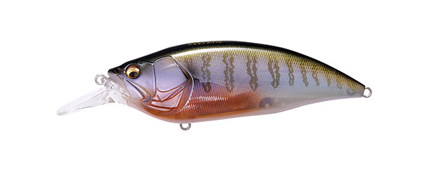 GreenCraw_813x225_crop_center.