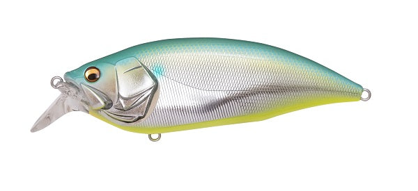 Big M 2.0 – The Hook Up Tackle