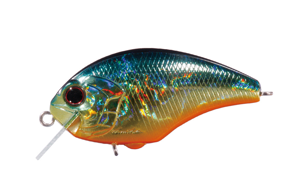 Dad's Double Dip – Page 6 – The Hook Up Tackle