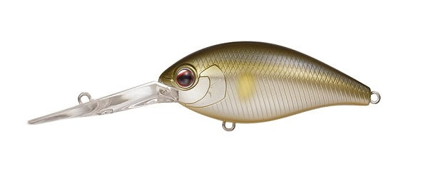 Evergreen Zman BOGO – The Hook Up Tackle