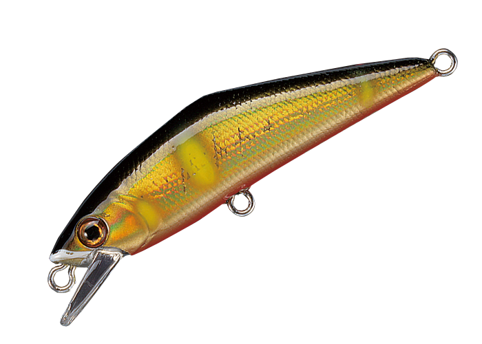 D-Contact 50 – The Hook Up Tackle