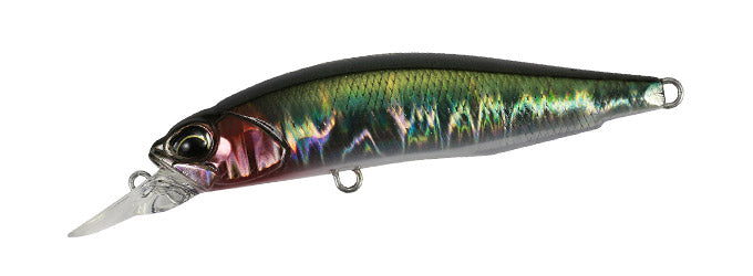 Rozante 63SP – The Hook Up Tackle